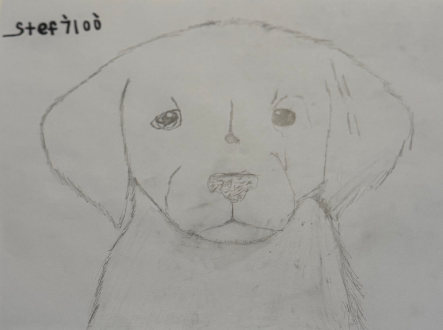 The Thinking Dog - Hand Drawn Pencil Sketch